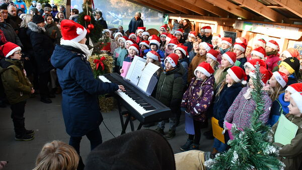 "Auszeit" vom Heiligabend-Stress im Zoo in Wingst: So lief Weihnachten bei den Tieren