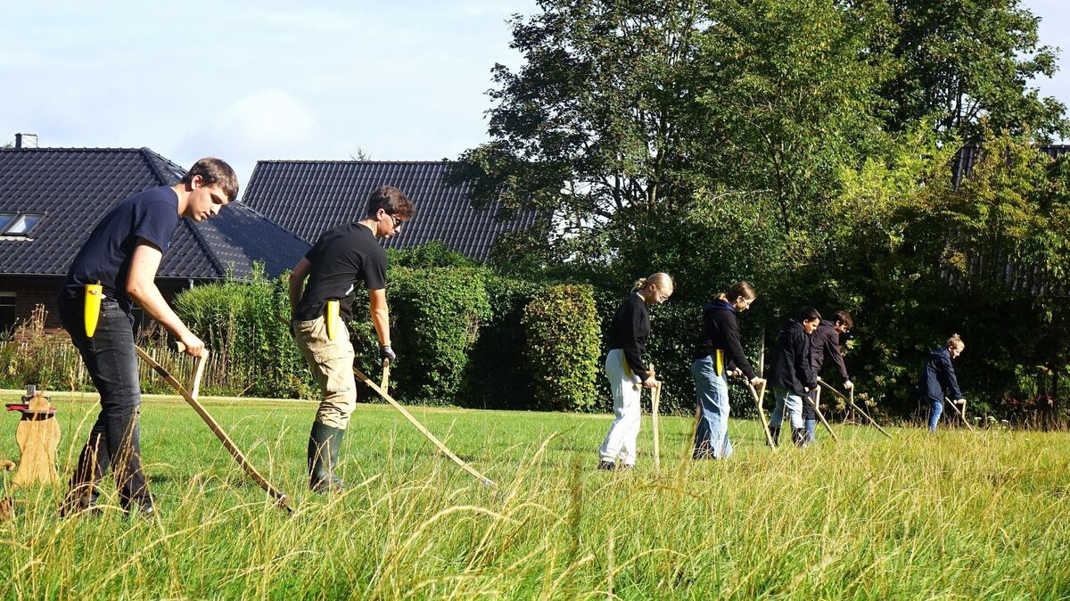 Schülerinnen und Schüler des Amandus-Abendroth-Gymnasiums bei der Arbeit im Schulgarten. Foto: Brettschneider