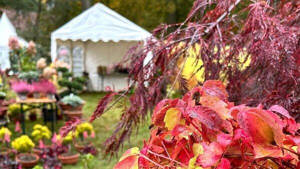 LebensArt Herbstzauber