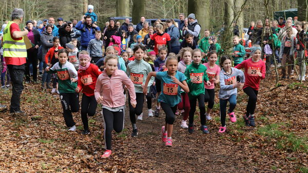 46. Osterlauf des TSV Wanna im Waldgebiet Ahlenfalkenberg