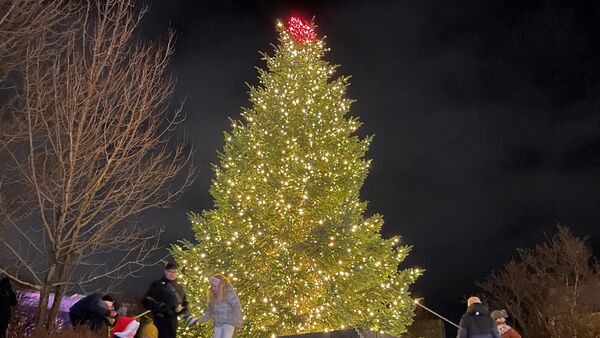 Tradition seit 30 Jahren: Cuxhavener Tanne eröffnet Weihnachtsmarkt in Hafnarfjördur