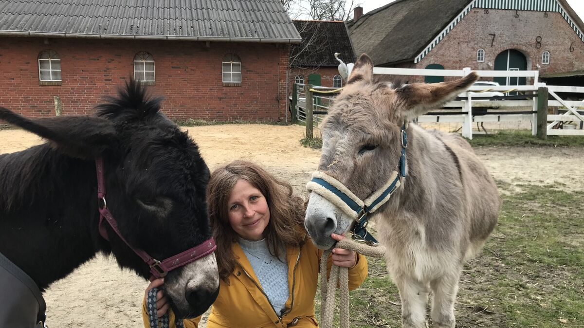 Die Autorin Susanne Ziegert wohnt in Cappel auf einem über 240 Jahre alten Hof. In dieser Umgebung hat sie auch ihren neuesten Roman angesiedelt. Foto: Reese-Winne