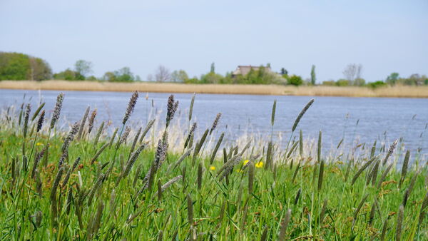 75-Jähriger kämpft im See in Balje ums Überleben: Helfer springen sofort ins Wasser