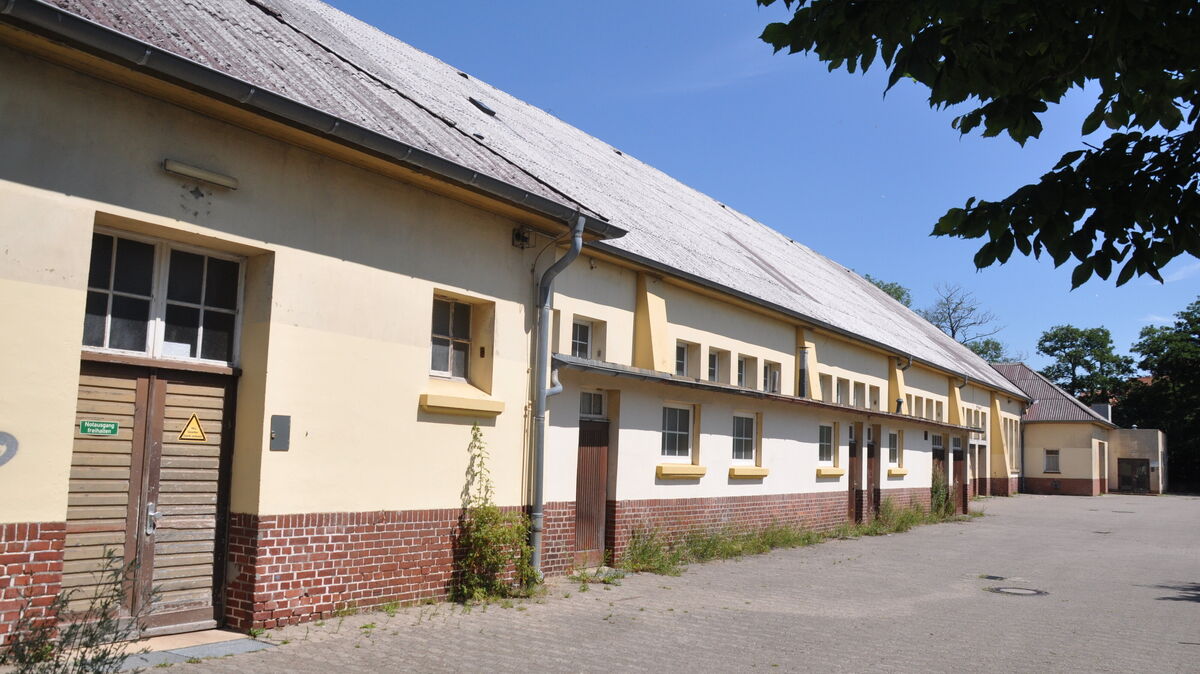 Die Hermann-Allmers-Halle in Cuxhaven hat ihre besten Zeiten gesehen. Sie soll dem Grundschul-Neubau weichen. Foto: Lütt