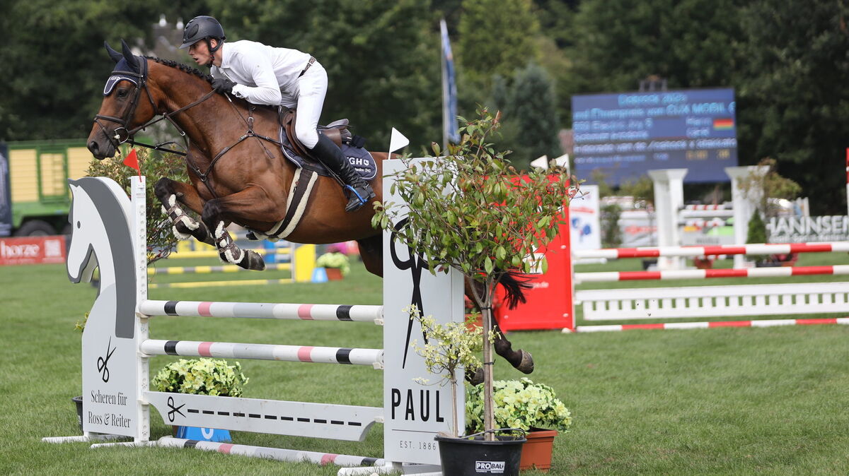 Seit Donnerstagmorgen laufen die Prüfungen auf dem Dobrock-Turnier in der Wingst. Foto: Unruh