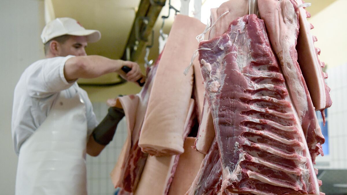 Schweinefleisch steigt im Preis und soll zunehmend knapper werden. Foto: dpa/Rehder