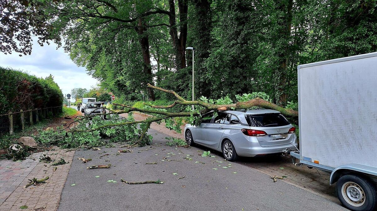 Der große Ast, der am Mittwoch auf den Opel fiel, blockierte das Dach des Fahrzeugs. Foto: Lange