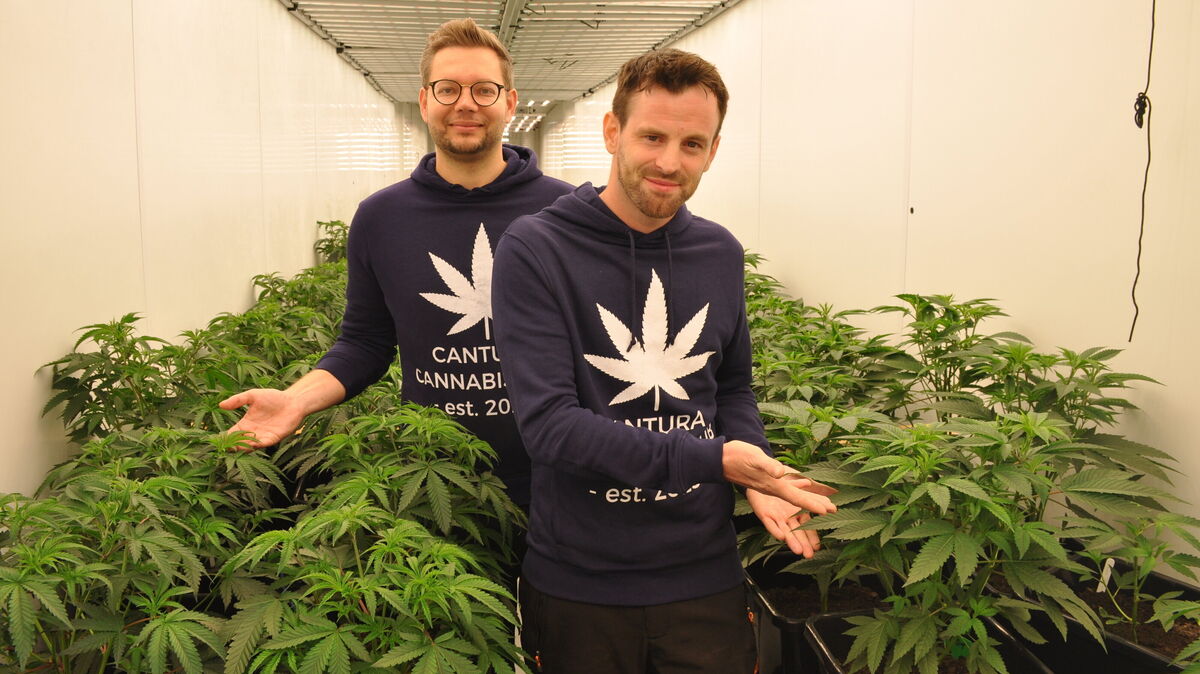 Es grünt und blüht in Fahrendorf: Vorsitzender Thomas Romahn (rechts) und Fabian Baumann, Unterstützer der ersten Stunde bei der komplexen Gründung einer Cannabis-Anbauvereinigung nach den aktuellen rechtlichen Vorgaben. Foto: Thomas Schmidt