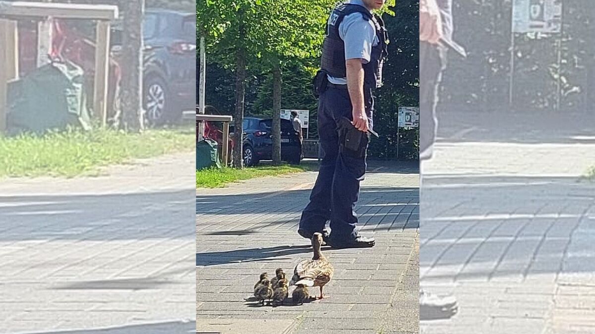 Bundespolizisten sicherten den Marsch der Entenfamilie am Bremerhavener Hauptbahnhof. Foto: Bundespolizei Bremen