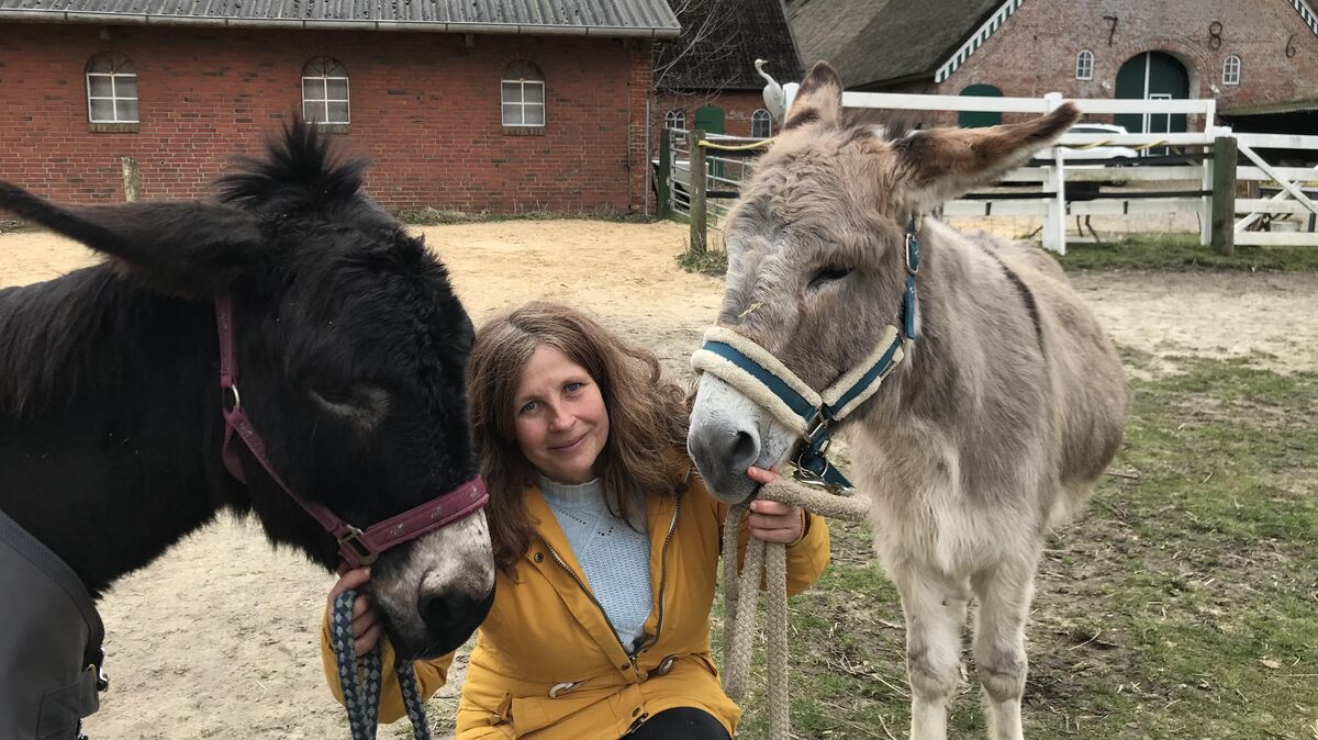 Küstenkrimi-Autorin Susanne Ziegert auf ihrem Hof bei Cappel, wo sie inzwischen mit Mann, zwei Pferden und zwei Eseln, Sandiego (l.) und Antonio, in einem uralten Bauernhaus ein Zuhause gefunden hat. Foto: Reese-Winne