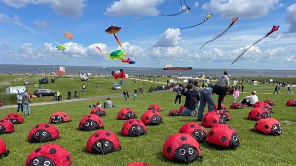 Familien-Events im Kreis Cuxhaven: Drachen, Märkte und mehr zu Himmelfahrt