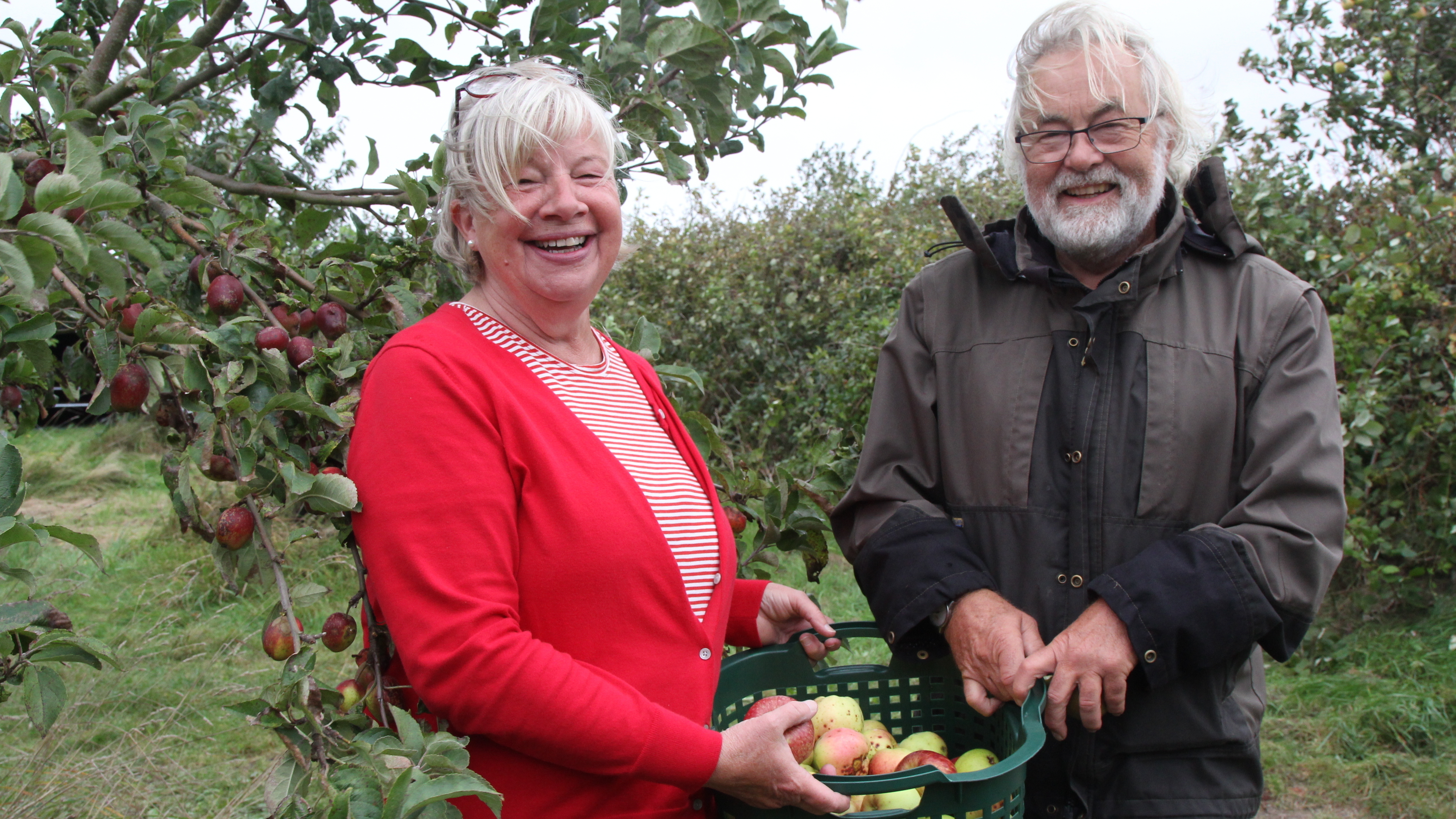 Die ganze Vorbereitung hat sich gelohnt: Jutta und Jens Dreyßig freuen sich über die Ernte ebenso wie über den gelungenen Apfeltag. Fotos: Reese-Winne