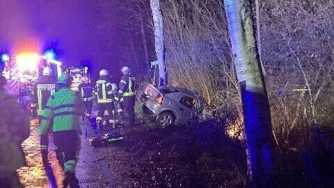 Tödlicher Unfall auf der L118 bei Neuenkirchen: Fahrerin prallt gegen Baum und stirbt