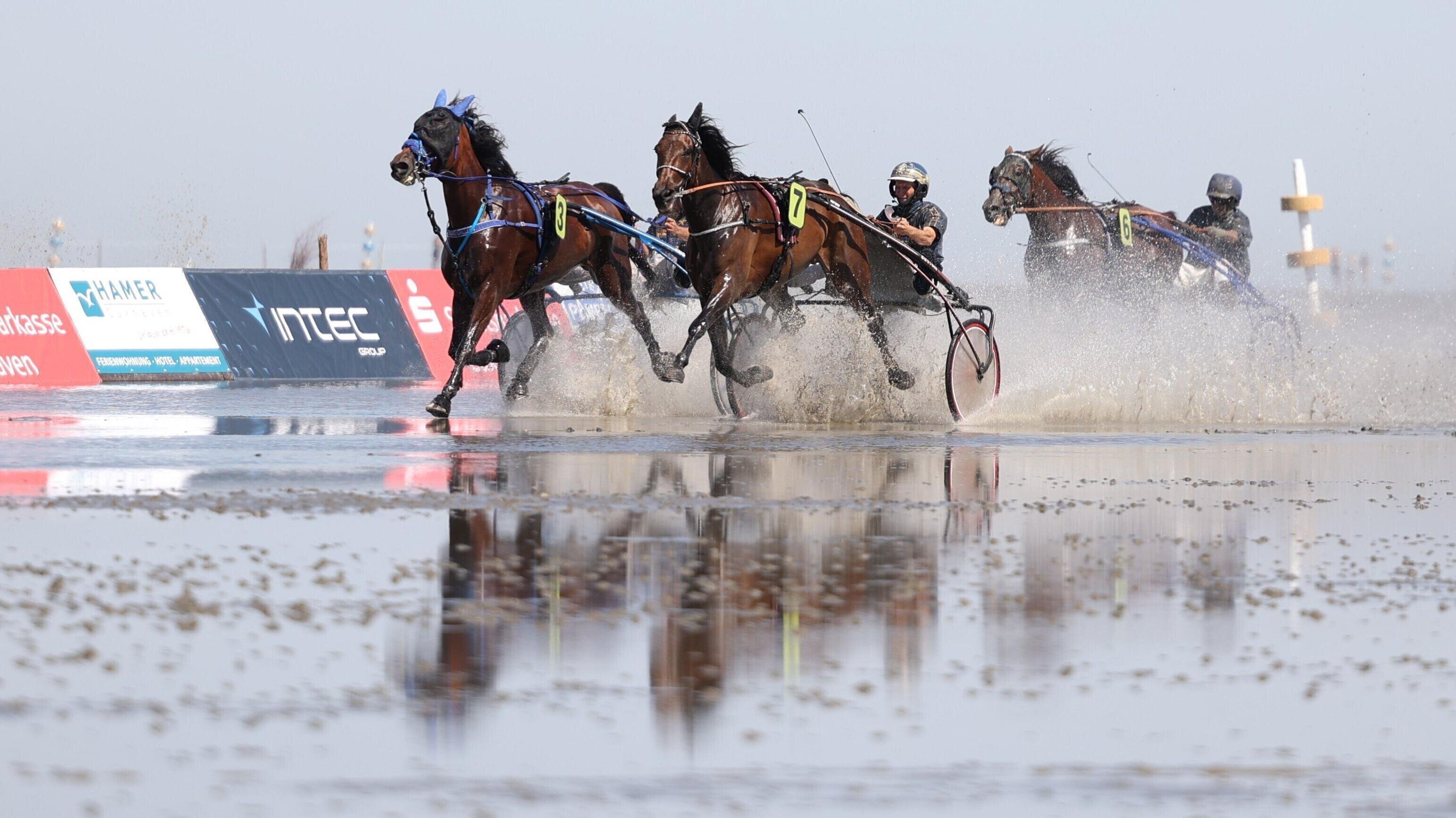 Fix durchs Watt: Beim Preis des Nordseeheilbads Cuxhaven setzte sich Jochen Holzschuh mit "Cracker Jack" am Ende durch. Foto: Larschow